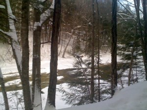 River in winter