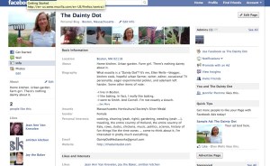 The Dainty Dot Facebook page
