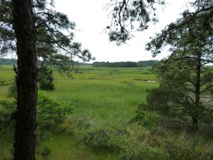 Wellfleet Bay Wildlife Sanctuary