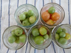 filling jars with green tomatoes