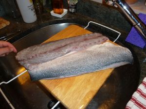 Bluefish fillets