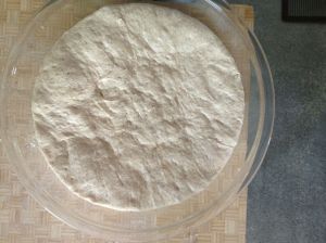 dough rises about this much after 3 hours