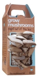 Back to the Roots Pearl Oyster Mushroom Kit